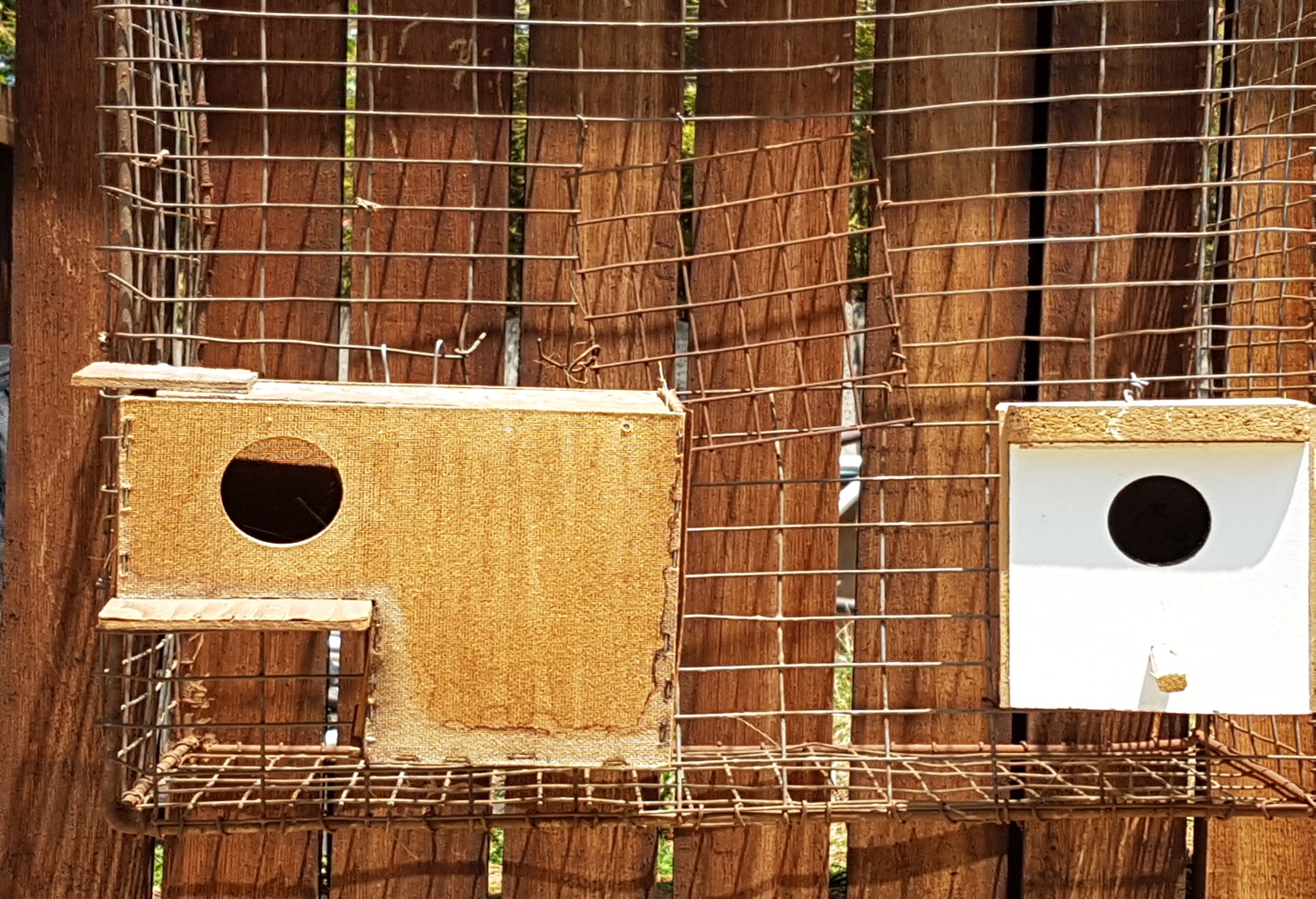 L shaped nest boxes